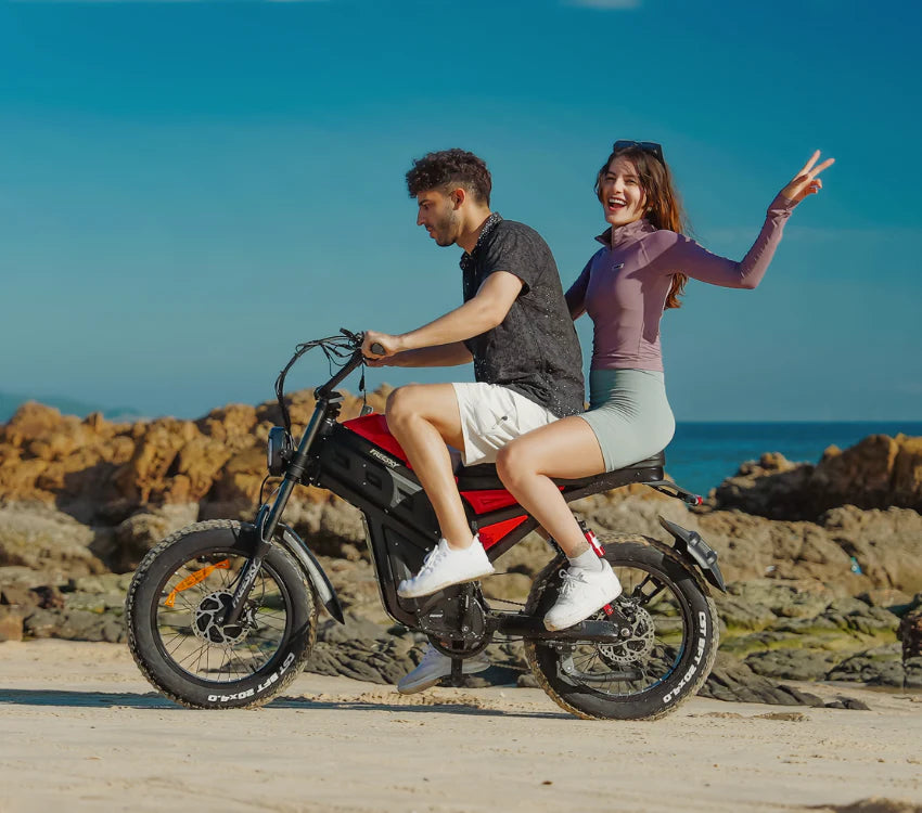 Cheetah MT-380 by FREESKY CYCLE