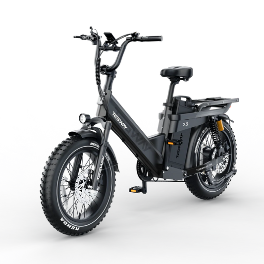 TESWAY X5 PRO